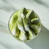 Delicate green matcha snow-dusted mascarpone tiramisu cups, a Japanese-Italian dessert.